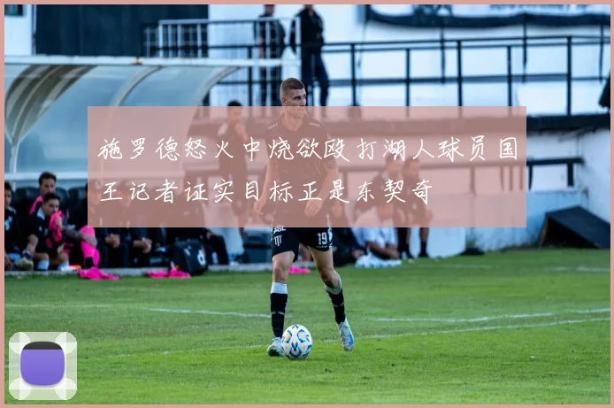施罗德怒火中烧欲殴打湖人球员国王记者证实目标正是东契奇